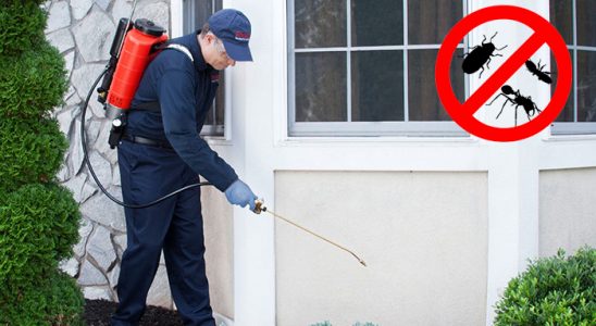 Lalapaşa Böcek İlaçlama böcek ilaçlama ve haşere kontrolü — ilaclama-tr.com